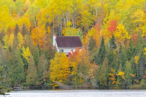 House hidden in the forest on the lake in Canada, in autumn, beautiful colors of the trees, reflection on the water